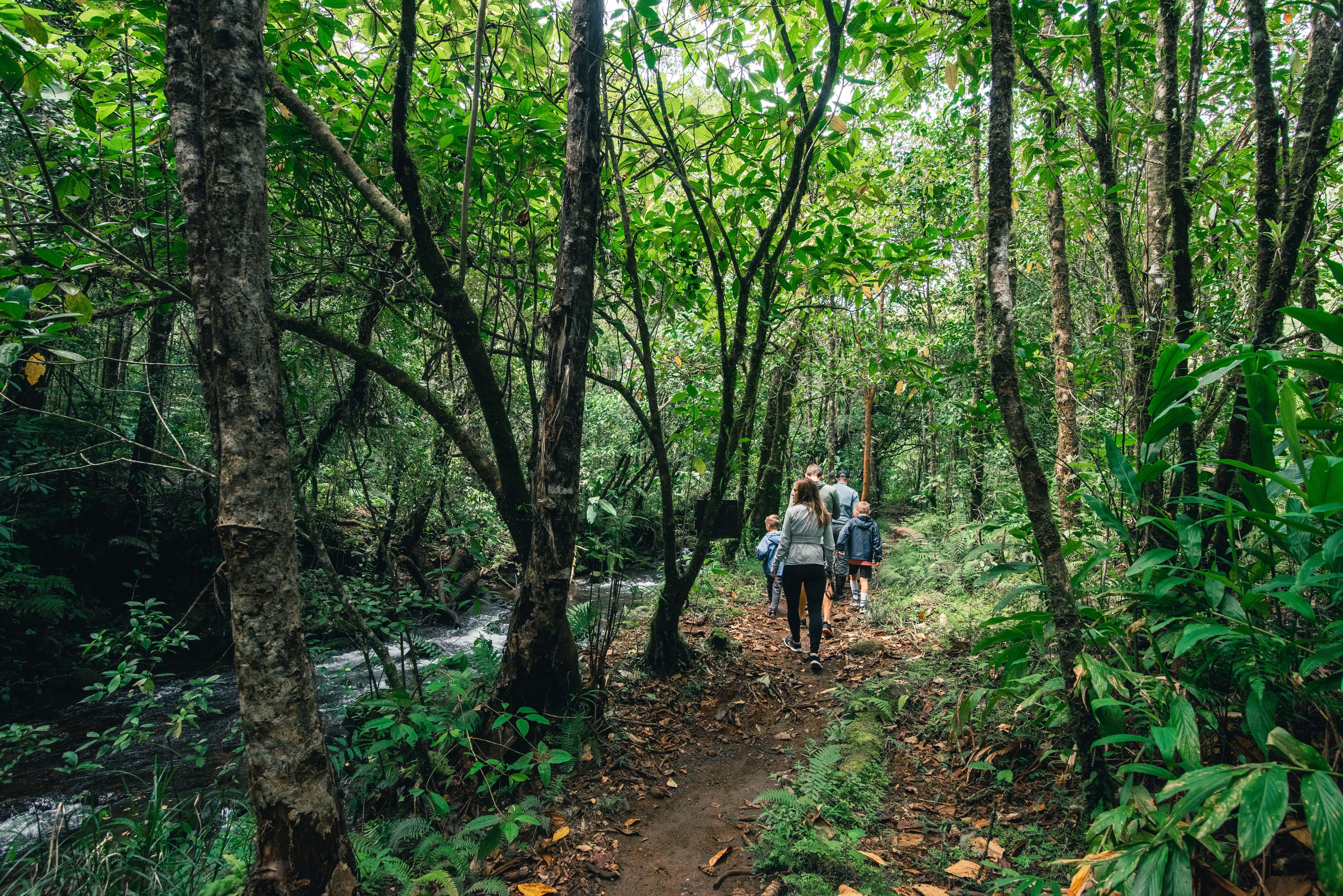 El Silencio Lodge & Spa Costa Rica Торо-Амарильо Экстерьер фото